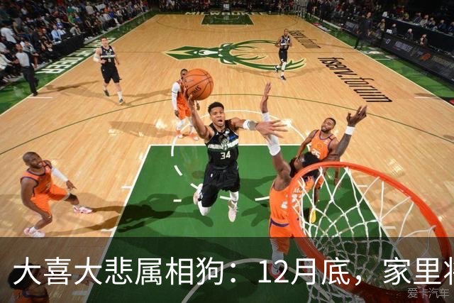 大喜大悲属相狗：12月底，家里将发生5件大事，提前准备